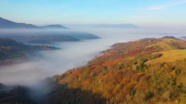 4K 'da güzel sonbahar manzaraları. Dağların ve sonbahar doğasının arka planında sis var