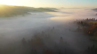Arka planda dağlar olan inanılmaz renkli bir manzara. Sonbahar Alpleri ve doğa. 4K 'daki bir kuadkopterden görüntü