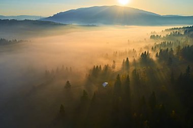 Köyün sonbahar manzarası. Turuncu, sarı ağaçlar, yeşil çam, tarlalar, evler ve tepeli yüksek dağlar. Doğa manzarası. Renkli arkaplan