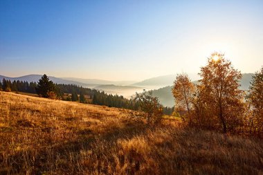 Renkli sonbahar manzara. Karpat Dağları, Ukrayna, Europe