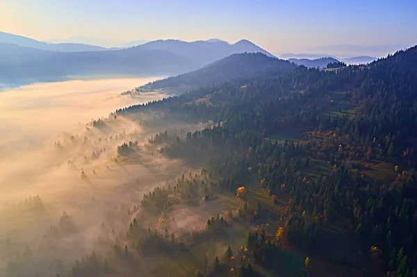 Jesienne Krajobrazy Górach Łąką Kolorowe Drzewa Pierwszym Planie Mgła Pod — Zdjęcie stockowe
