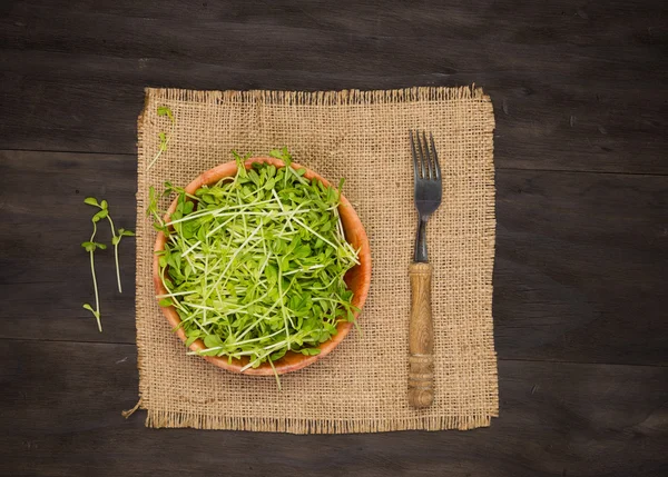 Snow Peas Sprouts — Stock Photo, Image