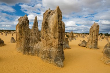 Pinnacles çöl Nambung Milli Parkı