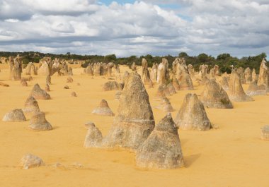 Pinnacles çöl Nambung Milli Parkı