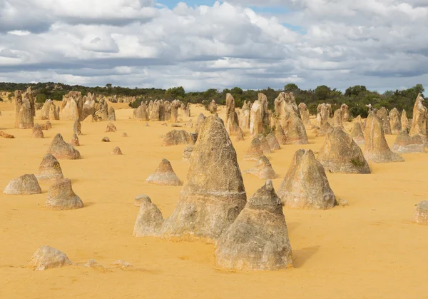 Pinnacles çöl Nambung Milli Parkı