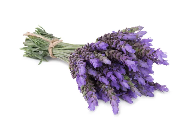 Bündel Lavendel — Stockfoto