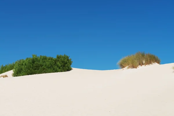 Dune di sabbia bianca — Foto Stock