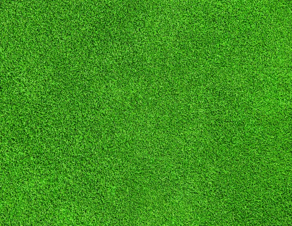 Textura de hierba verde — Foto de Stock