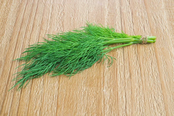 Twig of dill — Stock Photo, Image