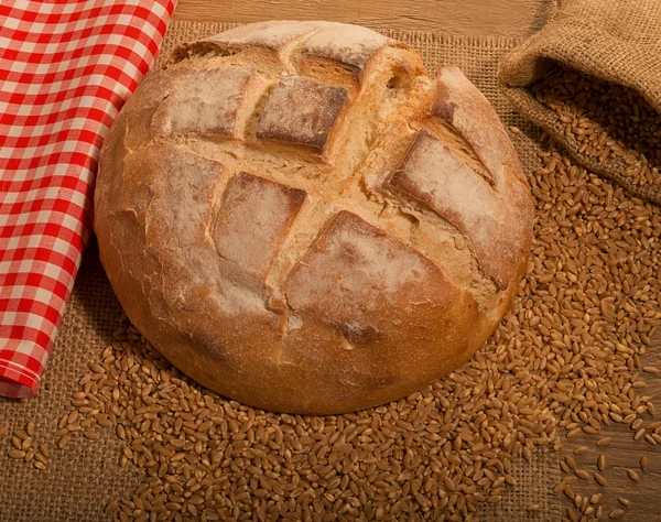 Frisches Brot — Stockfoto