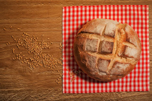 Frisches Brot — Stockfoto