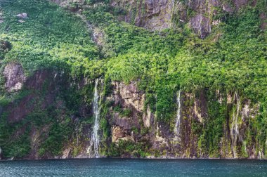 Fiordland Milli Parkı