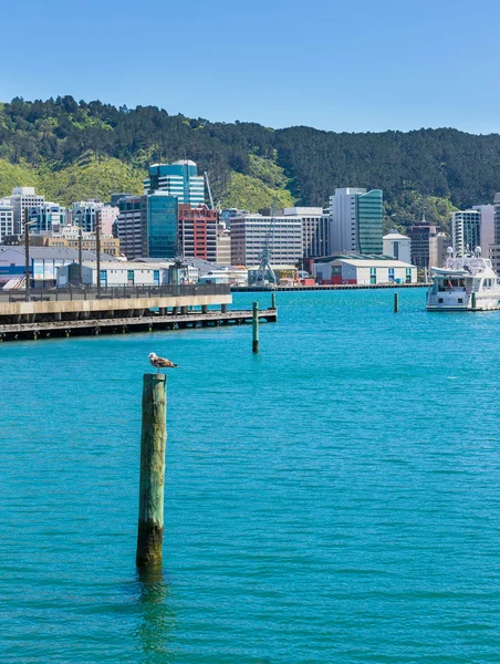 Wellington, Yeni Zelanda — Stok fotoğraf