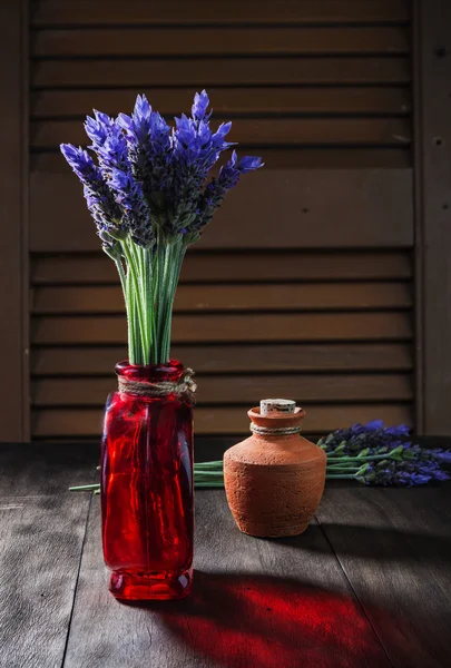 Wiązki kwiatów lawendy — Zdjęcie stockowe