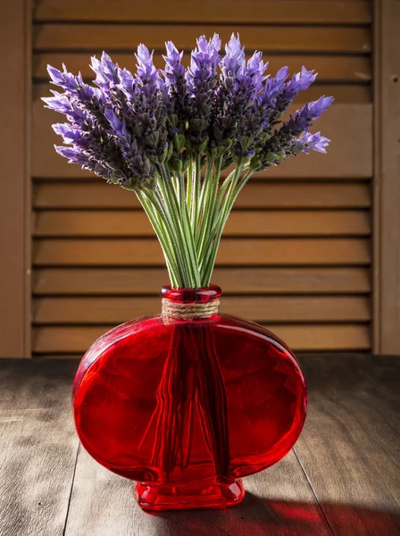 Mazzo di fiori di lavanda — Foto Stock