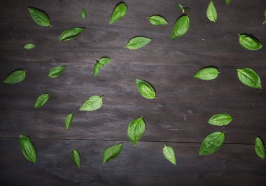 Fesleğen yaprakları siyah 