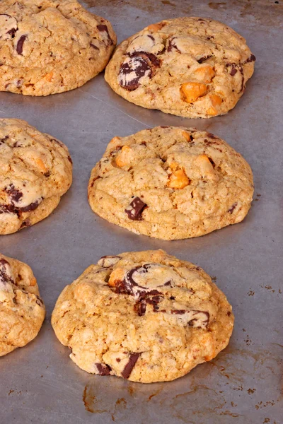 Freshly baked, home-made chocolate and butterscotch chip cookies — Stock Photo, Image