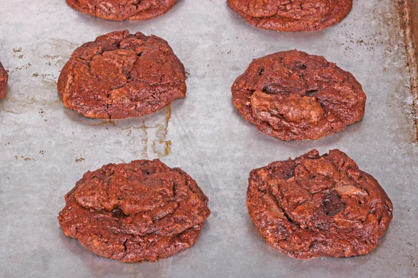 Freshly baked, home-made chocolate cookies still on the pan — Stock Photo, Image