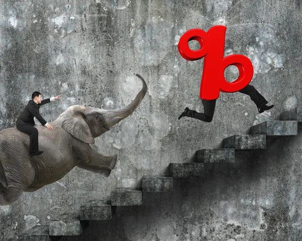 Hombre de negocios cabalgando elefante corriendo tras signo porcentual —  Fotos de Stock