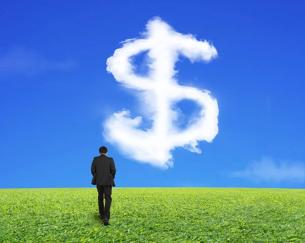 มุมมองด้านหลังของนักธุรกิจเดินด้วยเมฆรูปเครื่องหมายดอลลาร์ — ภาพถ่ายสต็อก