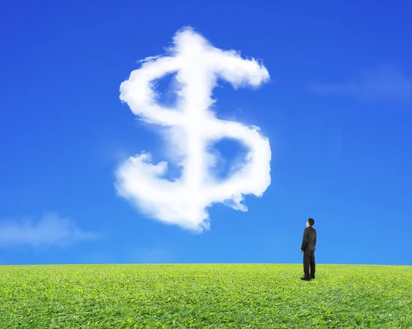 Uomo d'affari guardando dollaro segno forma nuvola con cielo erba — Foto Stock