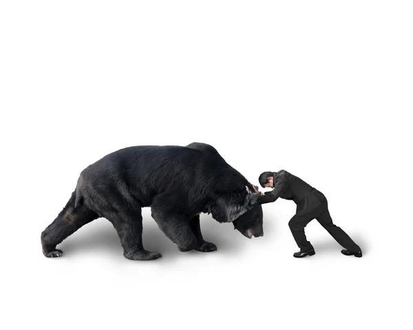 Businessman fighting against black bear isolated on white — 图库照片