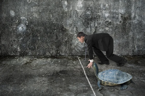 Businessman and turtle are ready to race on concrete floor — Φωτογραφία Αρχείου