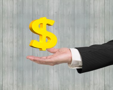 Erkek elinde altın dolar işareti