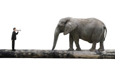 Fil tek ahşap b bağırıyor hoparlör kullanarak iş adamı