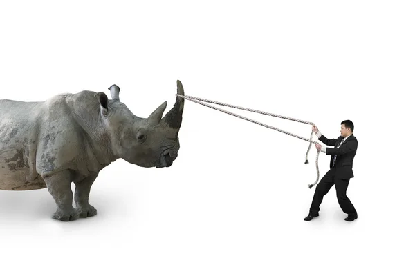Empresario tirando de la cuerda contra rinoceronte aislado en blanco — Foto de Stock