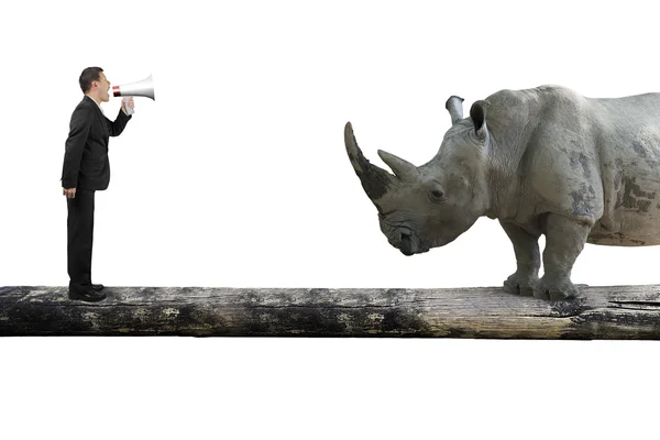 Businessman using speaker yelling at rhinoceros on single wooden — Stock fotografie