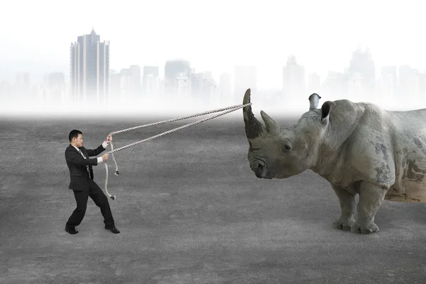 Businessman pulling rope against rhinoceros on concrete floor — Φωτογραφία Αρχείου