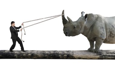 Businessman pulling rope against rhinoceros balancing on tree tr