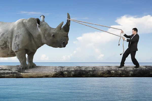 Businessman pulling rope against rhinoceros balancing on tree tr — ストック写真
