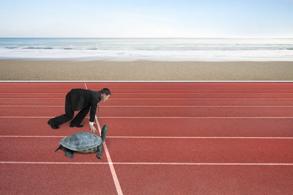 Empresario y tortuga están listos para correr en pista de atletismo —  Fotos de Stock