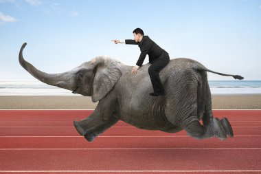 Businessman with pointing finger gesture riding on elephant