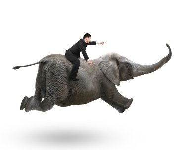 Businessman with pointing finger gesture riding on elephant