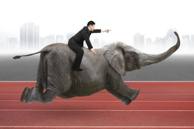 Businessman with pointing finger gesture riding on elephant