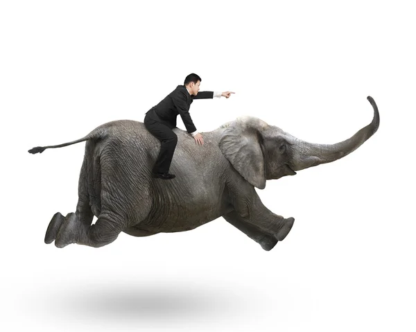 Businessman with pointing finger gesture riding on elephant — Zdjęcie stockowe