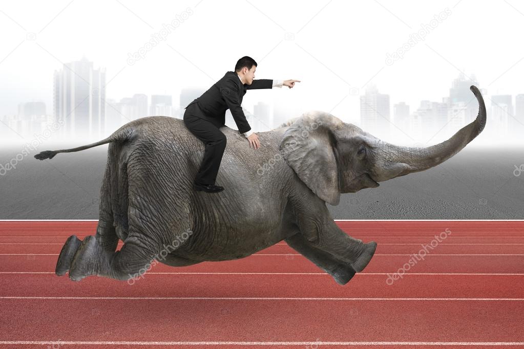 Businessman with pointing finger gesture riding on elephant