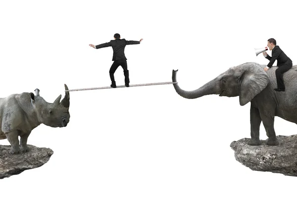 Mężczyzna jazda słoń przeciwko nosorożec z innego ro równowagi — Zdjęcie stockowe