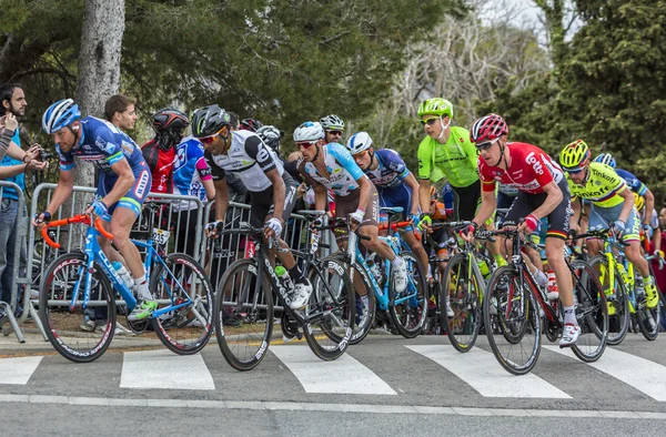 Barselona - tur de Catalunya 2016 Peloton — Stok fotoğraf