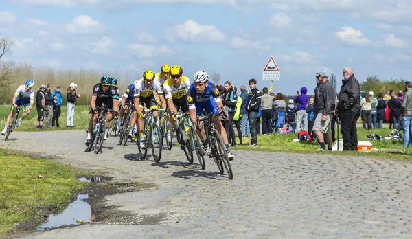 El Pelotón - Paris Roubaix 2016 — Foto de Stock