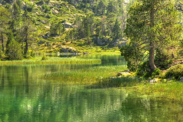 Zelené jezero v horách Pyreneje — Stock fotografie