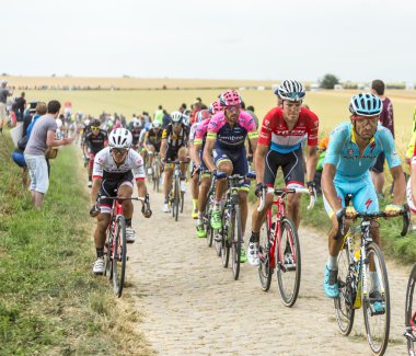 Bir Arnavut kaldırımlı yolda - Tour de France 2015 Peloton