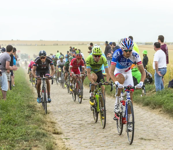 Il Peloton su una strada acciottolata - Tour de France 2015 — Foto Stock