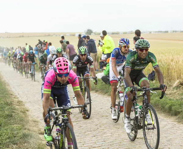 Пелотон на булыжной дороге - Тур де Франс 2015 — стоковое фото