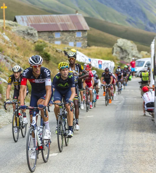 Il Peloton in Montagna - Tour de France 2015 — Foto Stock