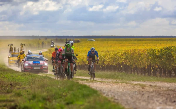 Noizay Frankrijk Oktober 2020 Kopgroep Wijngaarden Tijdens Paris Tours 2020 — Stockfoto