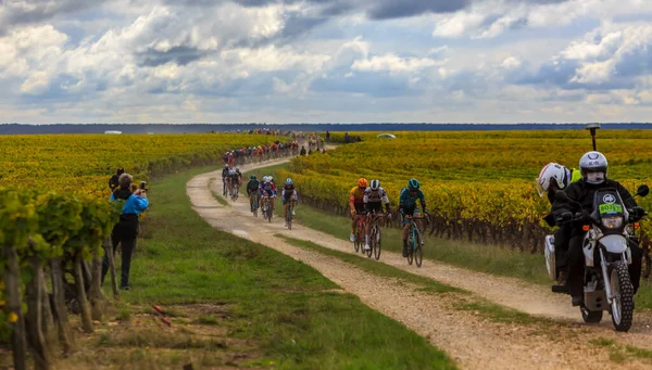 Noizay Francja Października 2020 Jazda Pelotonie Winnicach Podczas Paris Tours — Zdjęcie stockowe